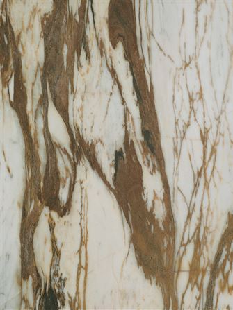 Fiocco D045