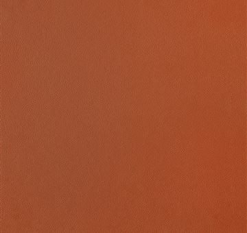 Primofiore UB55