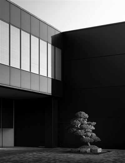 职业发展