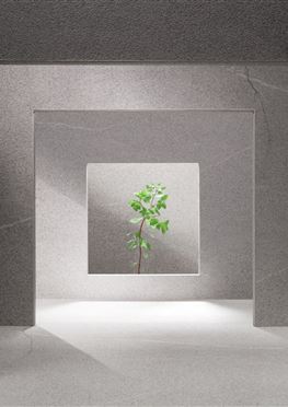 CONCRETA