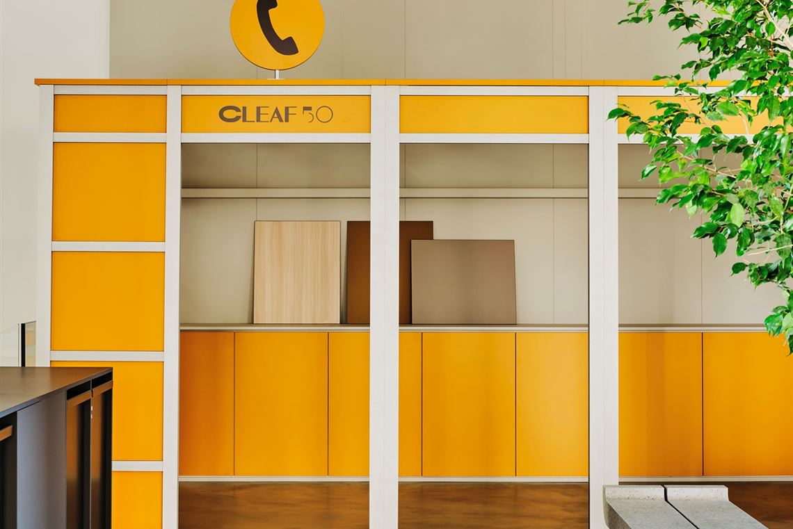 预见未来 - CCube | Cleaf